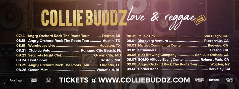 collie buddz on the rock