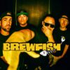 Big things are brewing: new music, live shows, and more from Brewfish