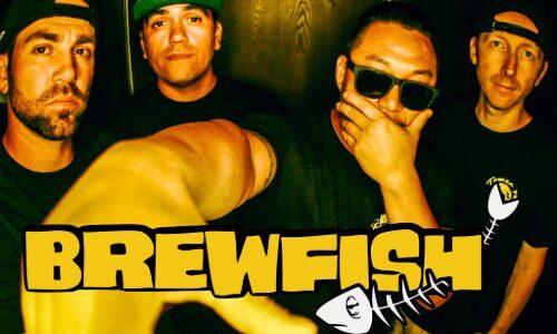 Big things are brewing: new music, live shows, and more from Brewfish